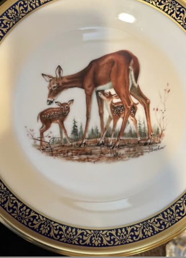 Elegant fine china sets | Lenox, Wedgwood, Spode and more — Fine